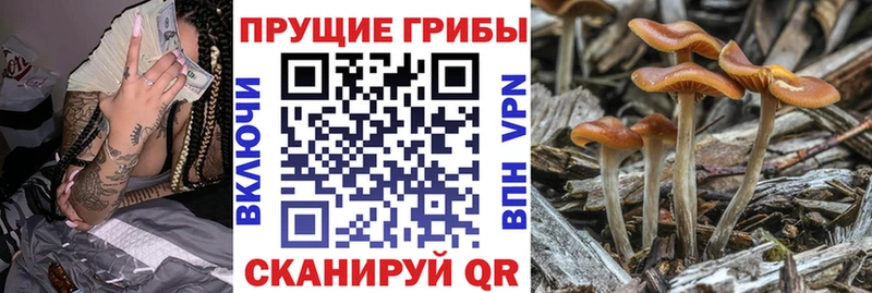 Псилоцибиновые грибы Magic Shrooms  Льгов 